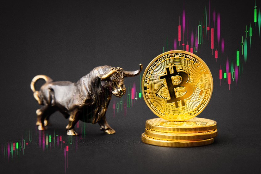 Investors eye Bitcoin Dogs as BTC retests $64k